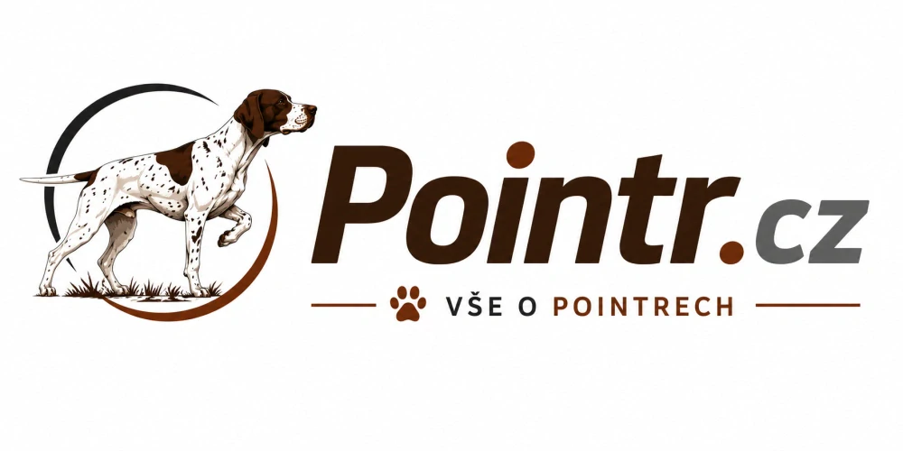 Pointr.cz – krátká .cz doména pro kynologii, chovatelské projekty a milovníky plemene Pointer