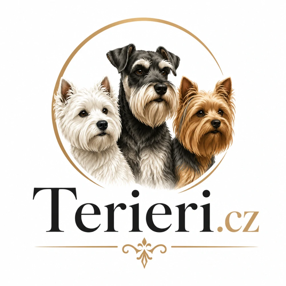 Terieri.cz – prémiová .cz doména pro chovatele, kynologii a všechny milovníky teriérů