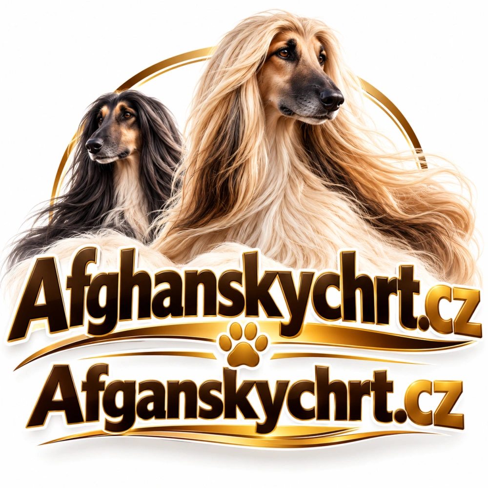 Afghanskychrt.cz + Afganskychrt.cz – 2 atraktivní domény pro chovatele afghánských chrtů