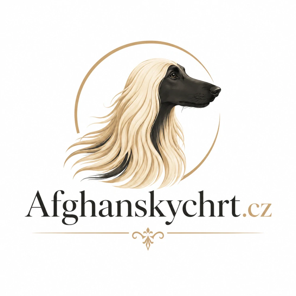 Afghanskychrt.cz + Afganskychrt.cz – prémiový balíček domén pro chovatele a milovníky afghánských chrtů