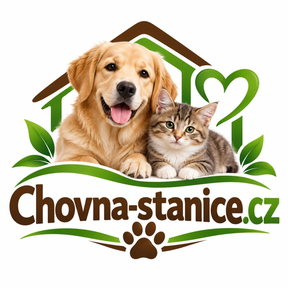 Chovna-stanice.cz – výstižná česká .CZ doména pro chovatele psů, koček, chovatelské stanice a kynologické projekty