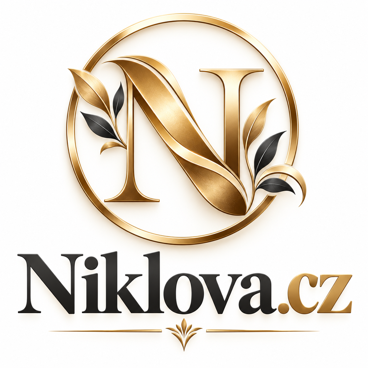 Niklova.cz – krátká a zapamatovatelná .CZ doména pro příjmení Niklová, osobní web i podnikání