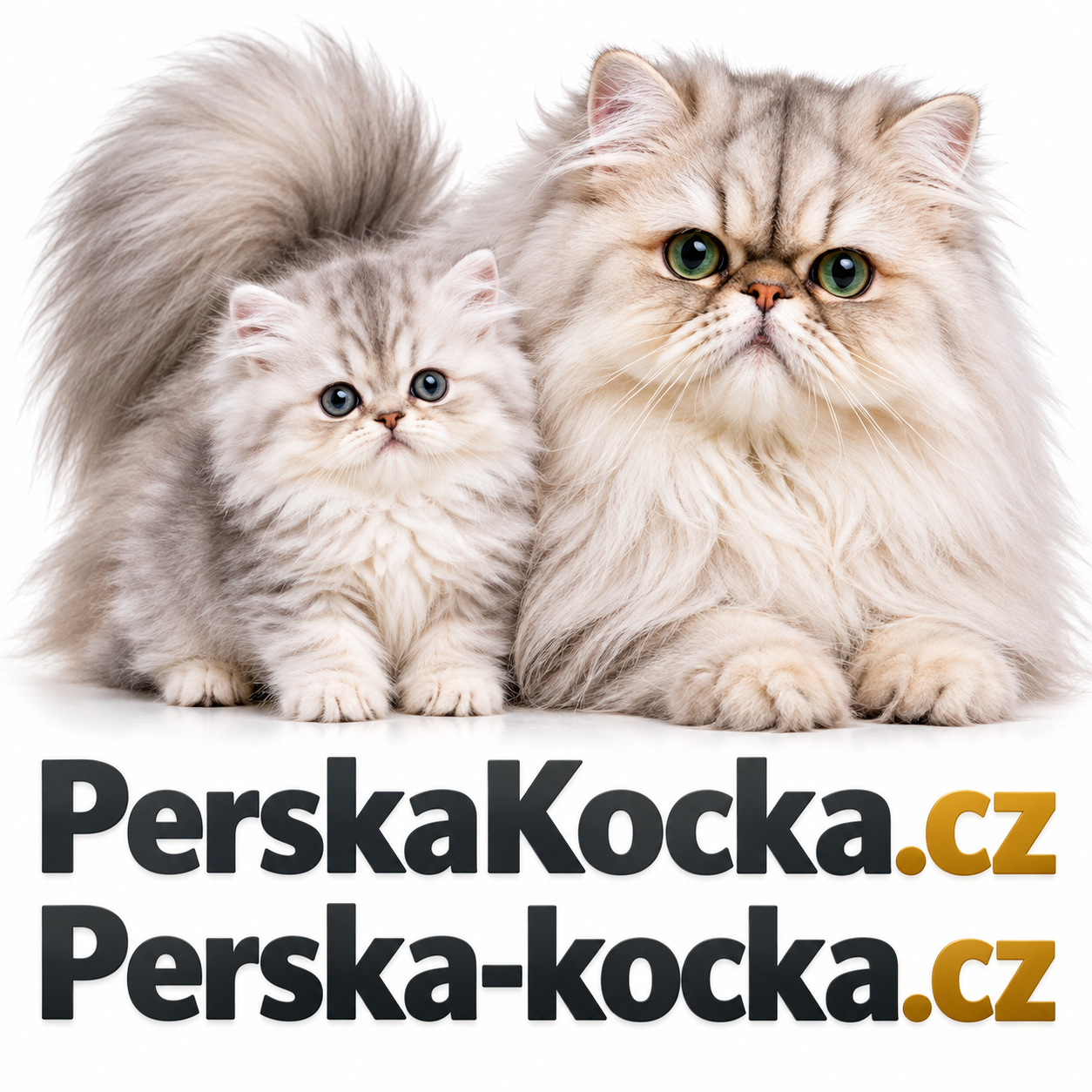 PerskaKocka.cz + Perska-kocka.cz – 2 atraktivní .CZ domény pro chovatele perských koček, chovatelské stanice a kočičí portály