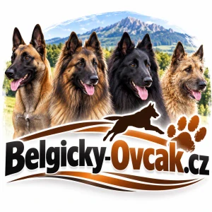 Belgicky-Ovcak.cz – atraktivní .CZ doména pro chovatele, výcvik psů a kynologické projekty