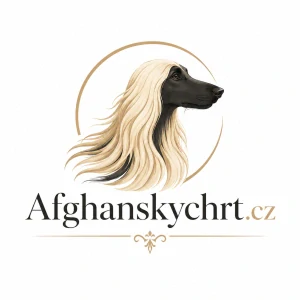 Afghanskychrt.cz + Afganskychrt.cz – prémiový balíček domén pro chovatele a milovníky afghánských chrtů