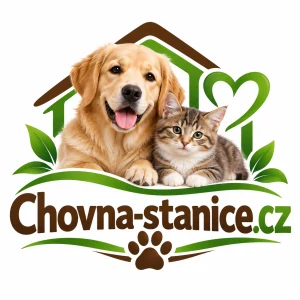 Chovna-stanice.cz – výstižná česká .CZ doména pro chovatele psů, koček, chovatelské stanice a kynologické projekty