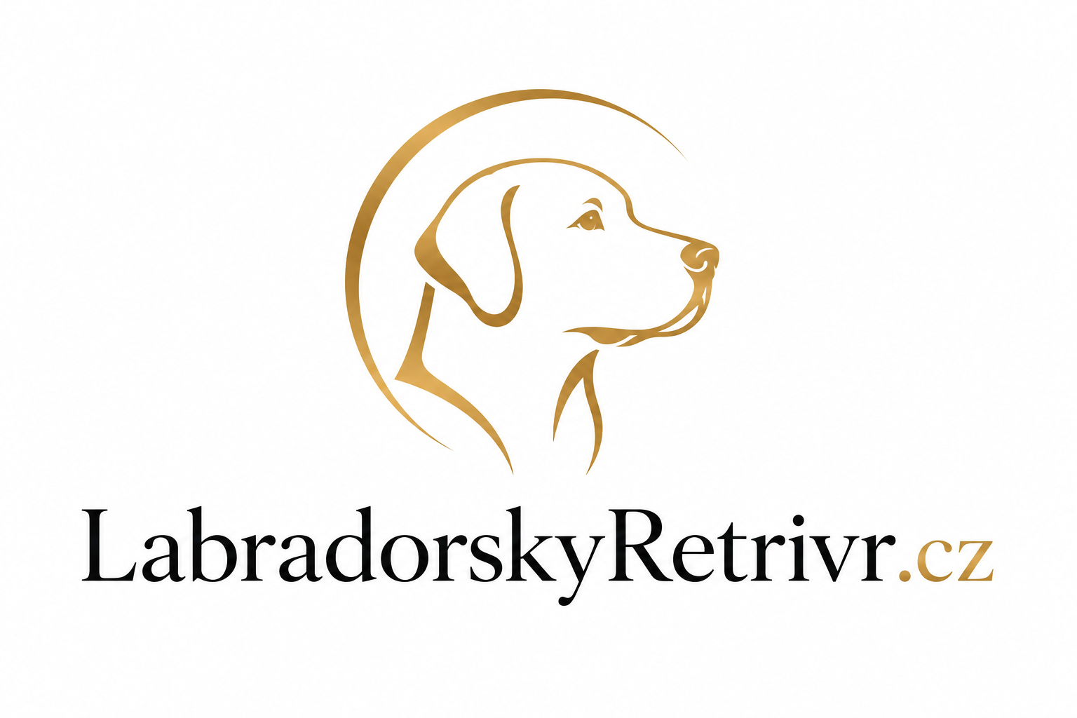 LabradorskyRetrivr.cz – atraktivní .CZ doména pro chovatele labradorů, štěňata, kynologii a chovatelské potřeby