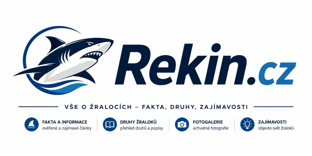Rekin.cz – krátká prémiová .cz doména pro silnou značku, sport, finance nebo zábavu