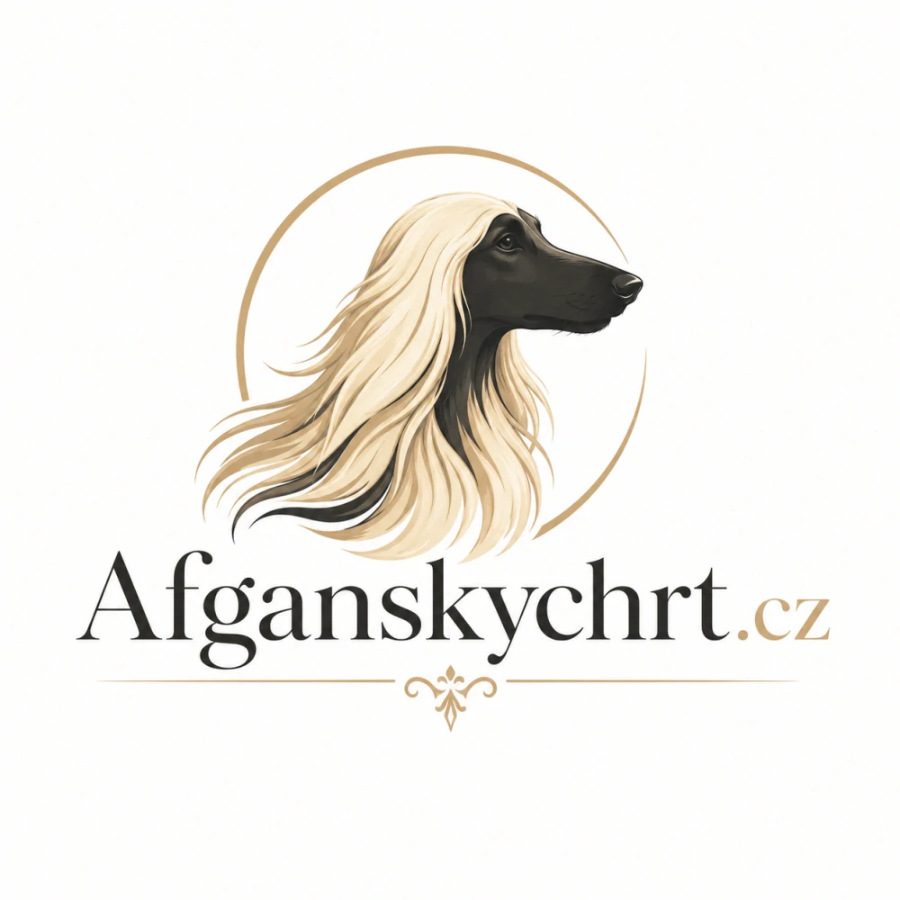 Afghanskychrt.cz + Afganskychrt.cz – 2 .CZ domény pro chovatele afghánských chrtů