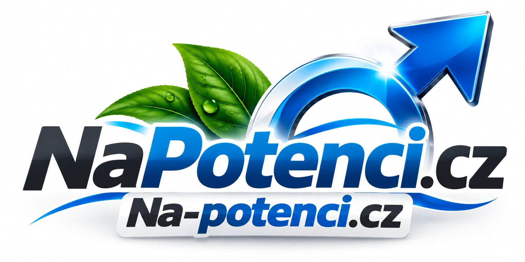 NaPotenci.cz + Na-potenci.cz – 2 atraktivní .CZ domény pro mužské zdraví, sexuální vitalitu a podporu potence