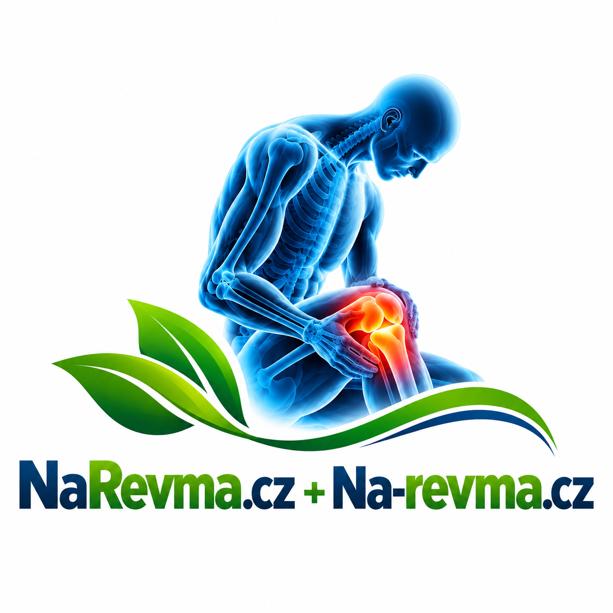 NaRevma.cz + Na-revma.cz – 2 atraktivní .CZ domény pro zdraví kloubů, revmatologii a pohybový aparát (KOMISNÍ PRODEJ)