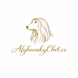 Aghanskychrt.cz – výstižná doména k prodeji